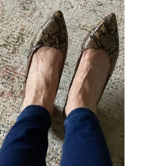 EUC LIFE STRIDE flex pointed-toe faux snakeskin pattern (10W) flats earth brown - Picture 1 of 9